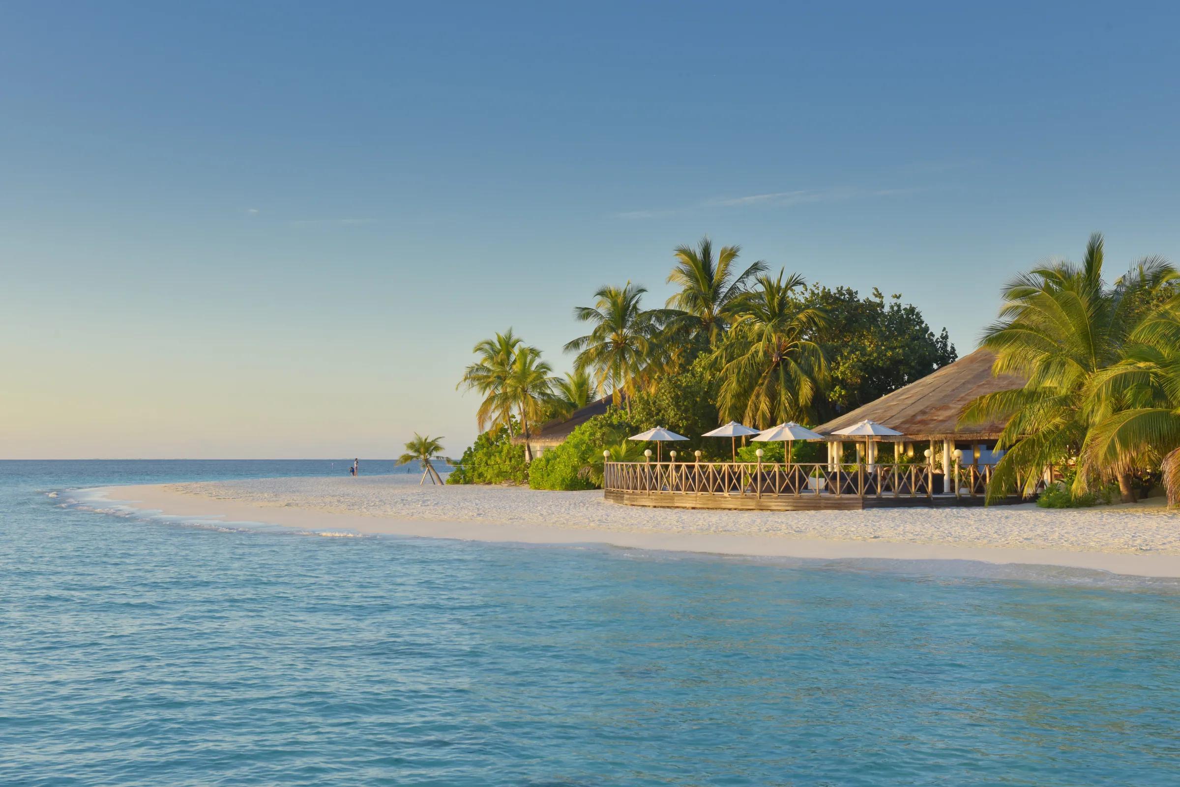 Spiaggia sabbiosa e palme davanti al Angaga Island Resort & Spa.