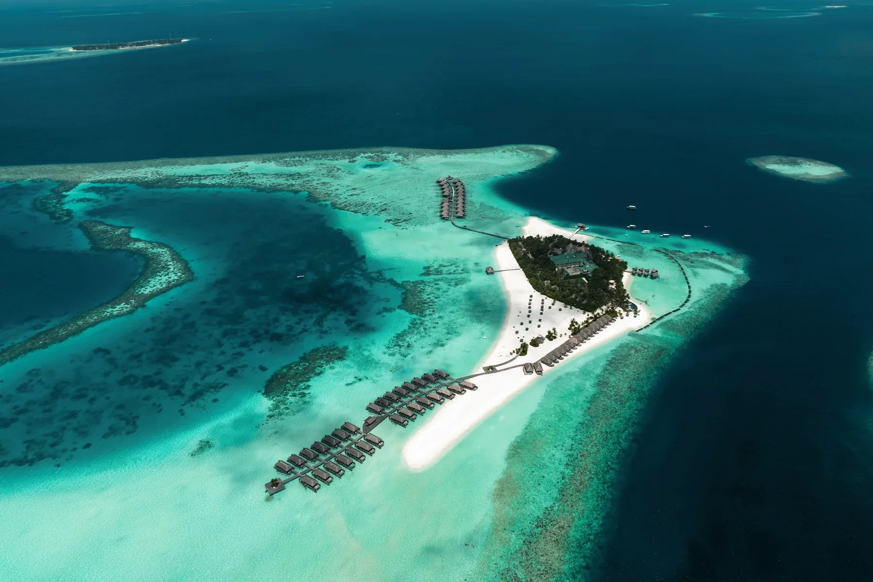 Constance Moofushi - Guida