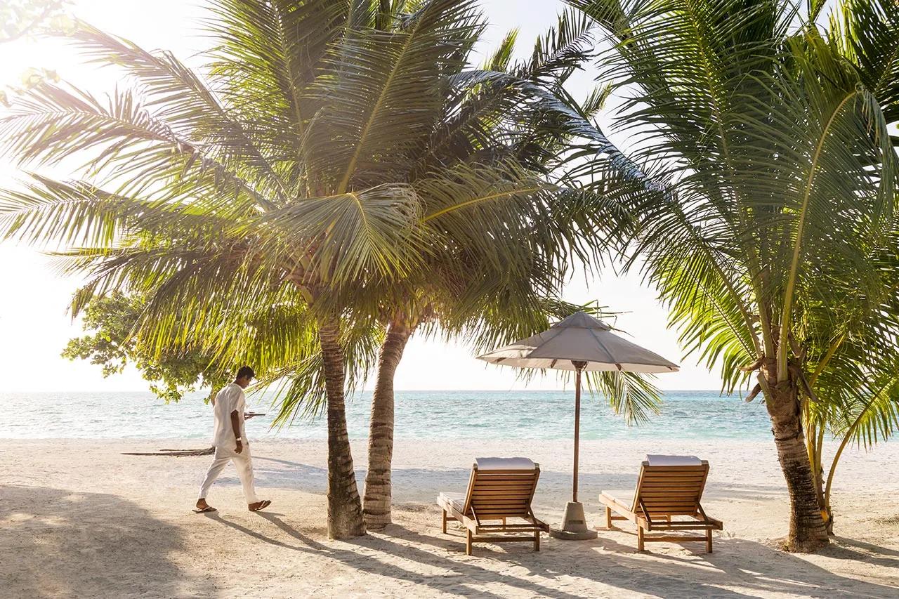 Spiaggia con palme e lettini della Beach Pool Villa al LUX* South Ari Atoll.