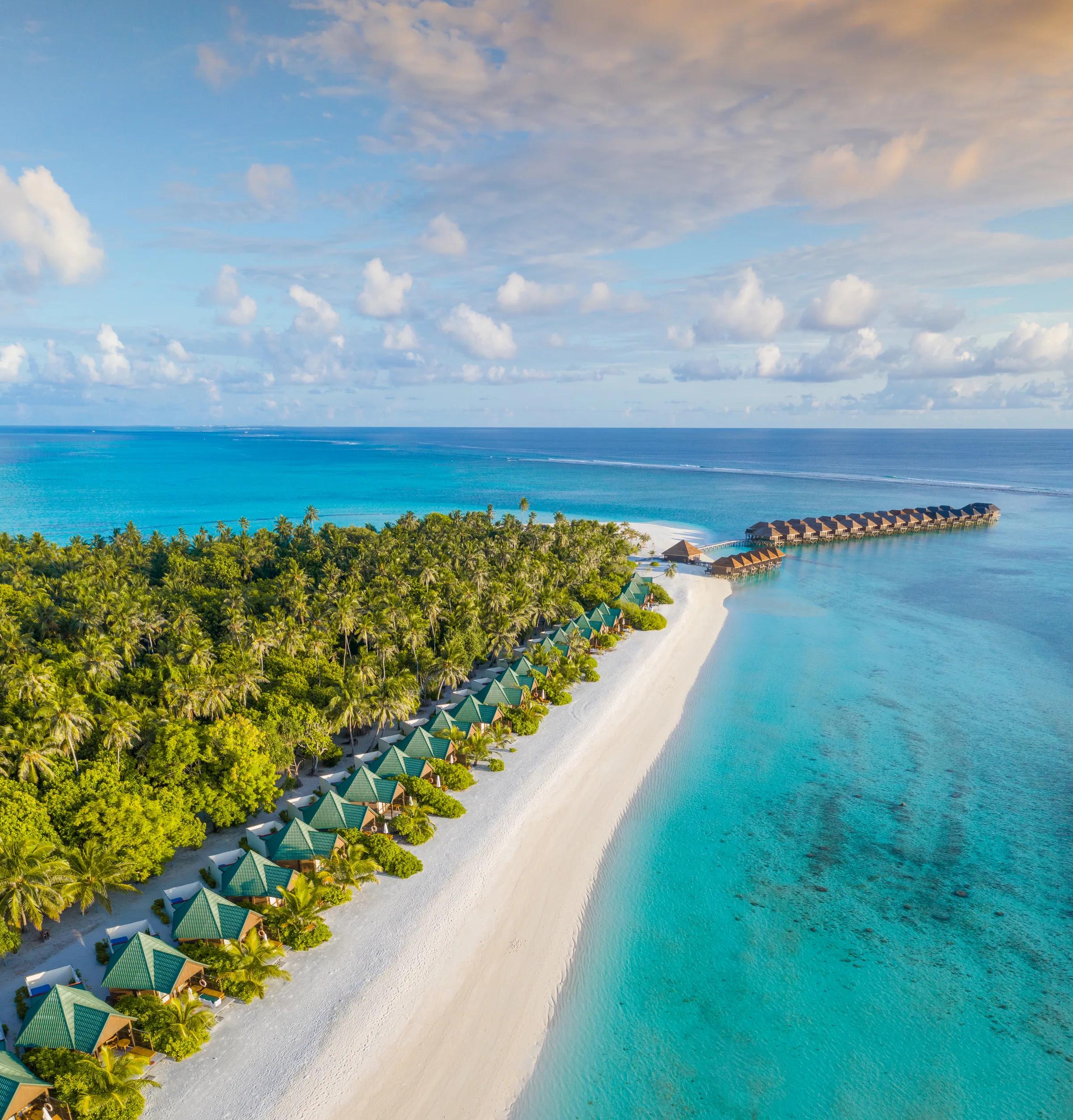 Spiaggia con bungalow e palme al Meeru Island Resort & Spa nelle Maldive.