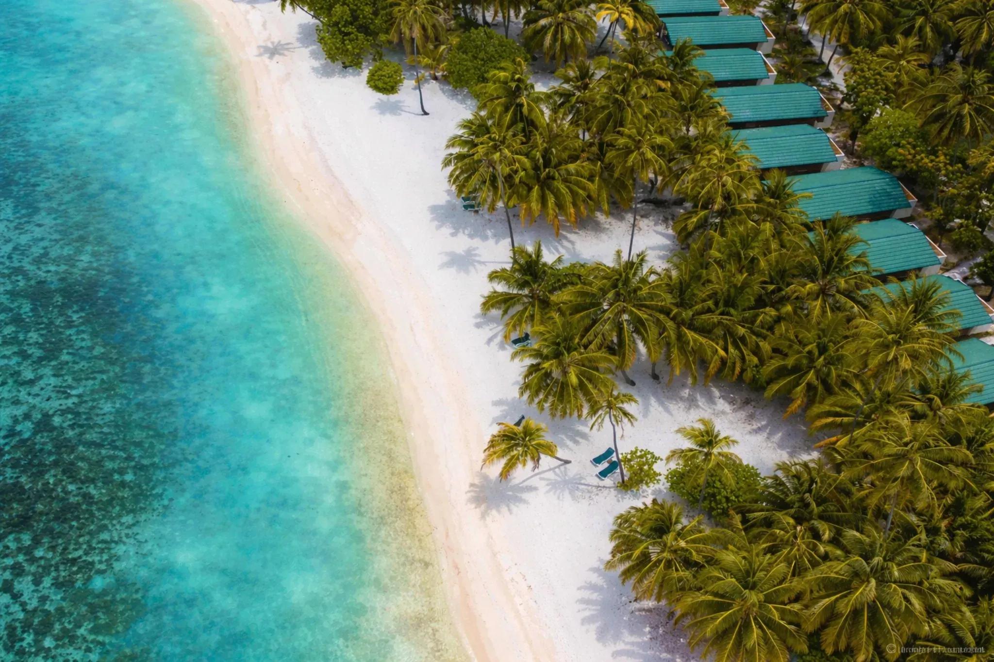 Vista dall'alto delle Beach Villa immerse tra palme e fronte spiaggia al Meeru Island Resort & Spa.